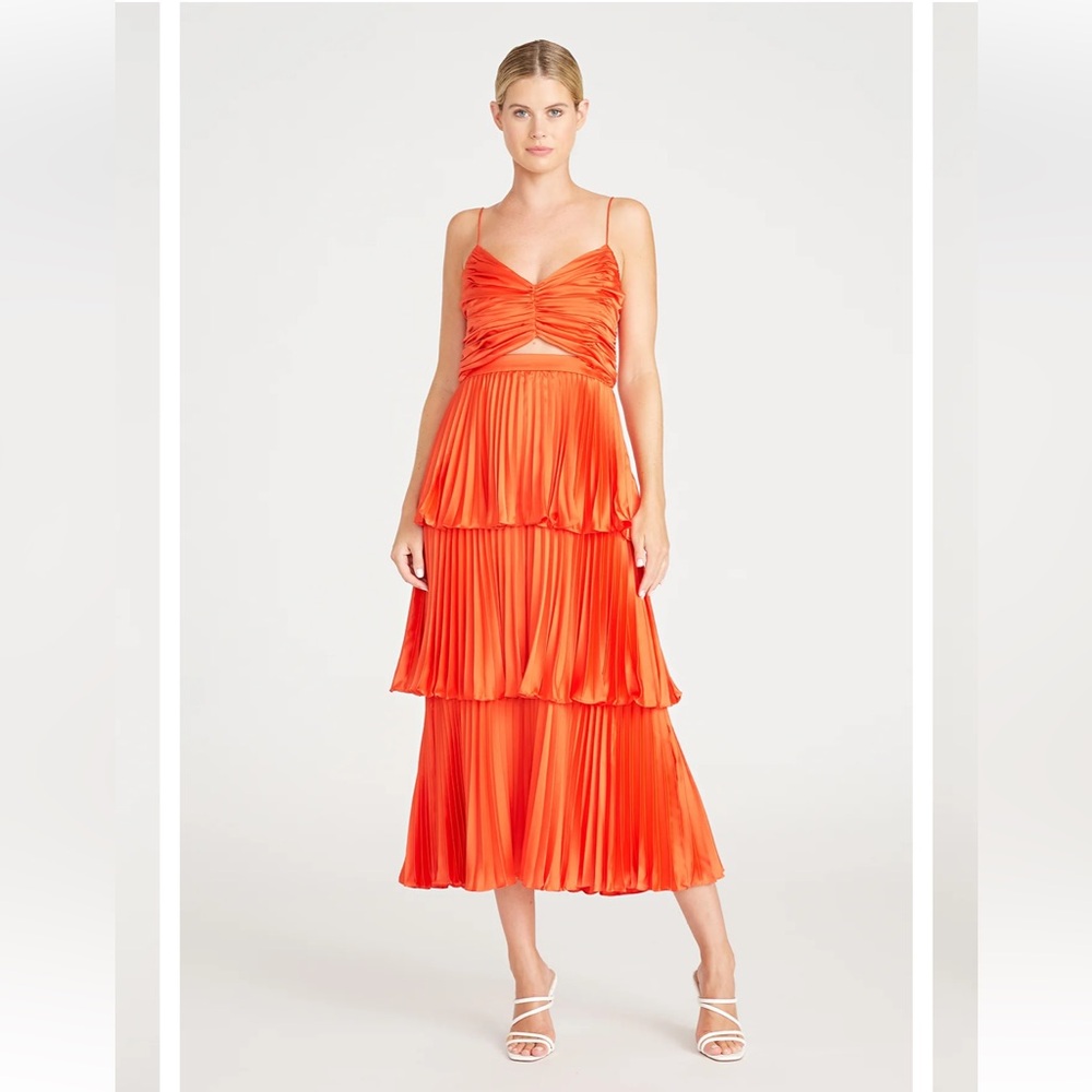 AMUR Lulla Pleated Midi Dress in Poppy Field size 2